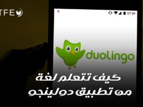 كيف تتعلم لغة من تطبيق دولينجو؟