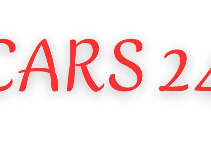 CARS 24