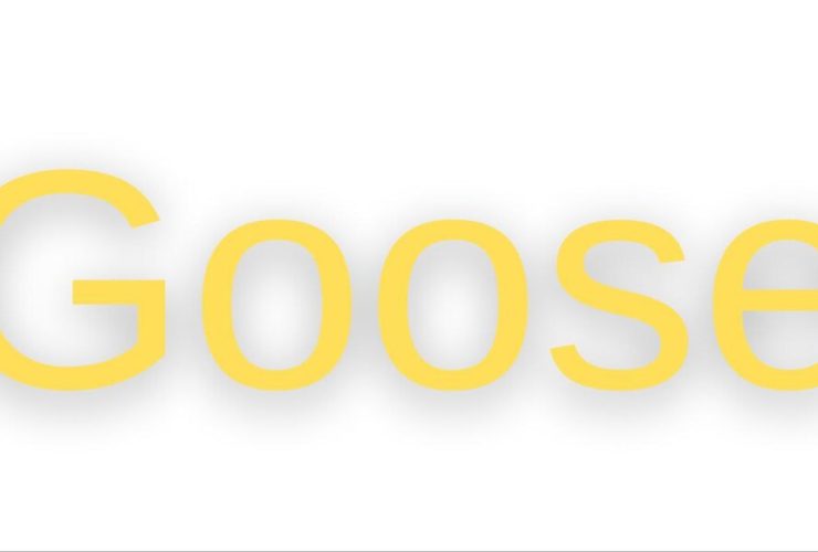 موقع Goose التركي