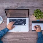 envato