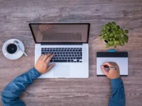 envato