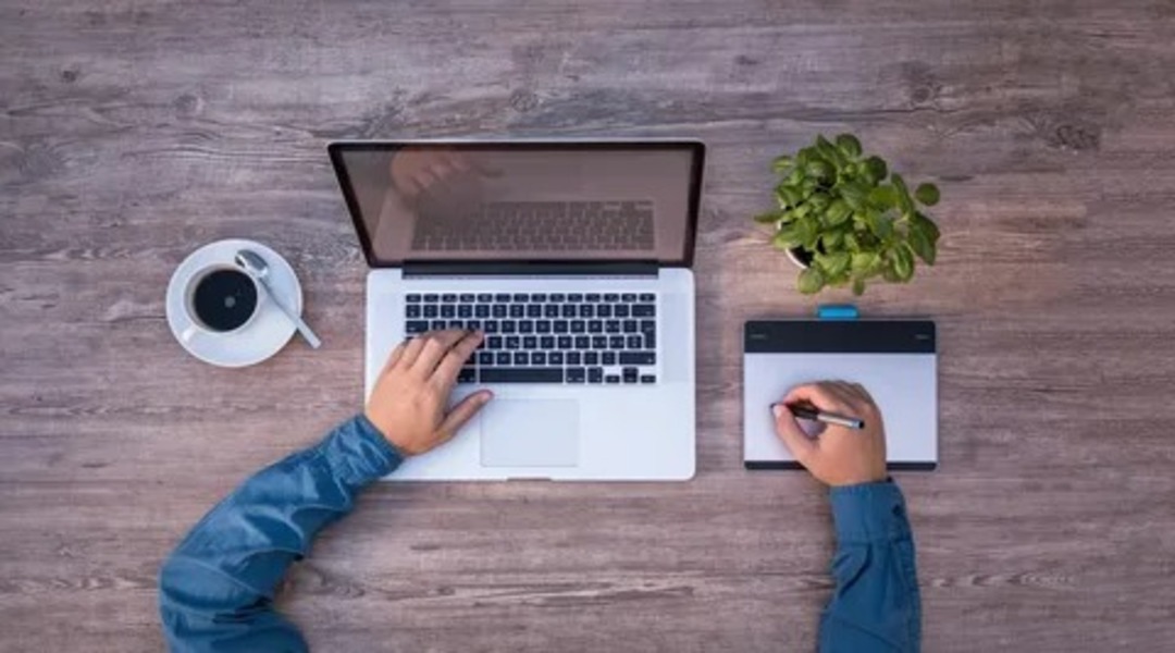 envato