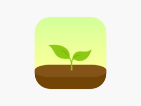 تطبيق Forest