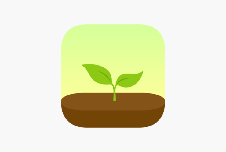 تطبيق Forest