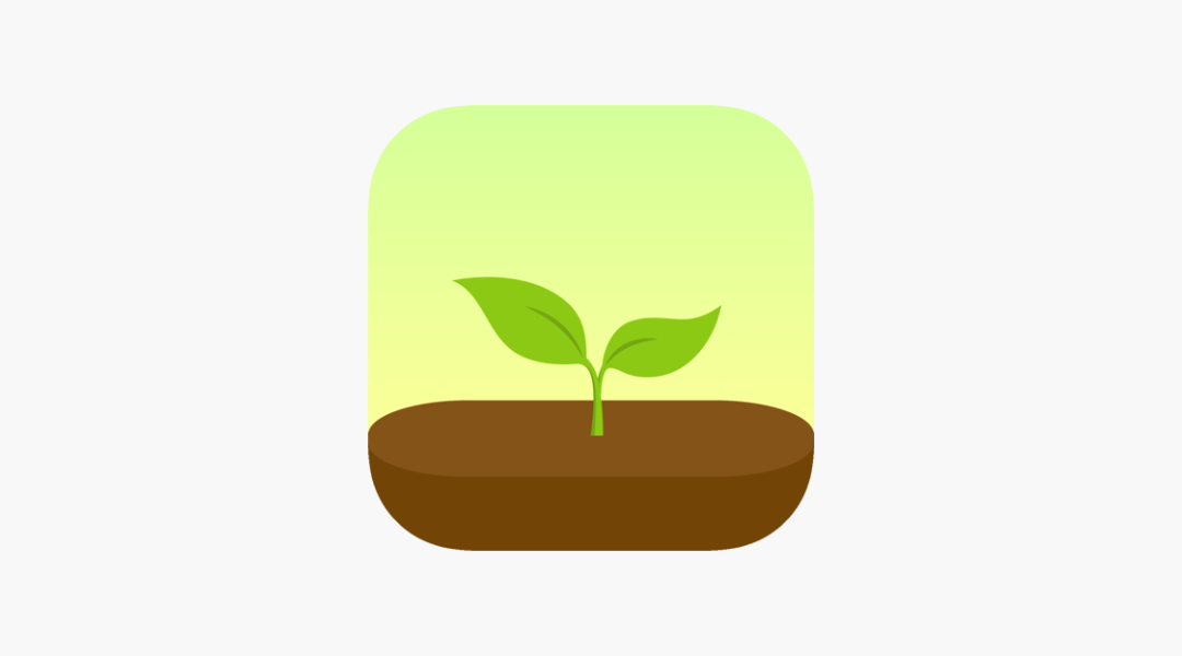 تطبيق Forest